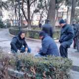 Anziani baresi giocano a briscola sulle panchine 